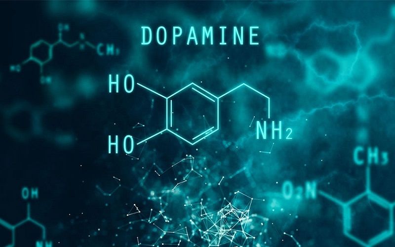 Dopamine – Nguồn gốc của mọi quyết định trong cuộc sống