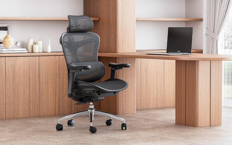 Ghế công thái học là gì