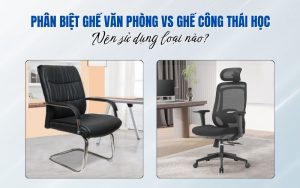 phân biệt ghế văn phòng và ghế công thái học