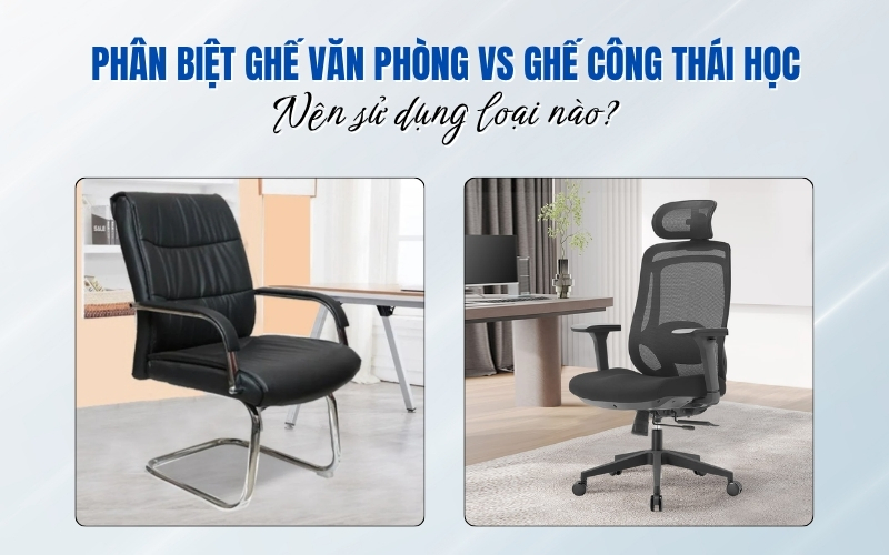 phân biệt ghế văn phòng và ghế công thái học